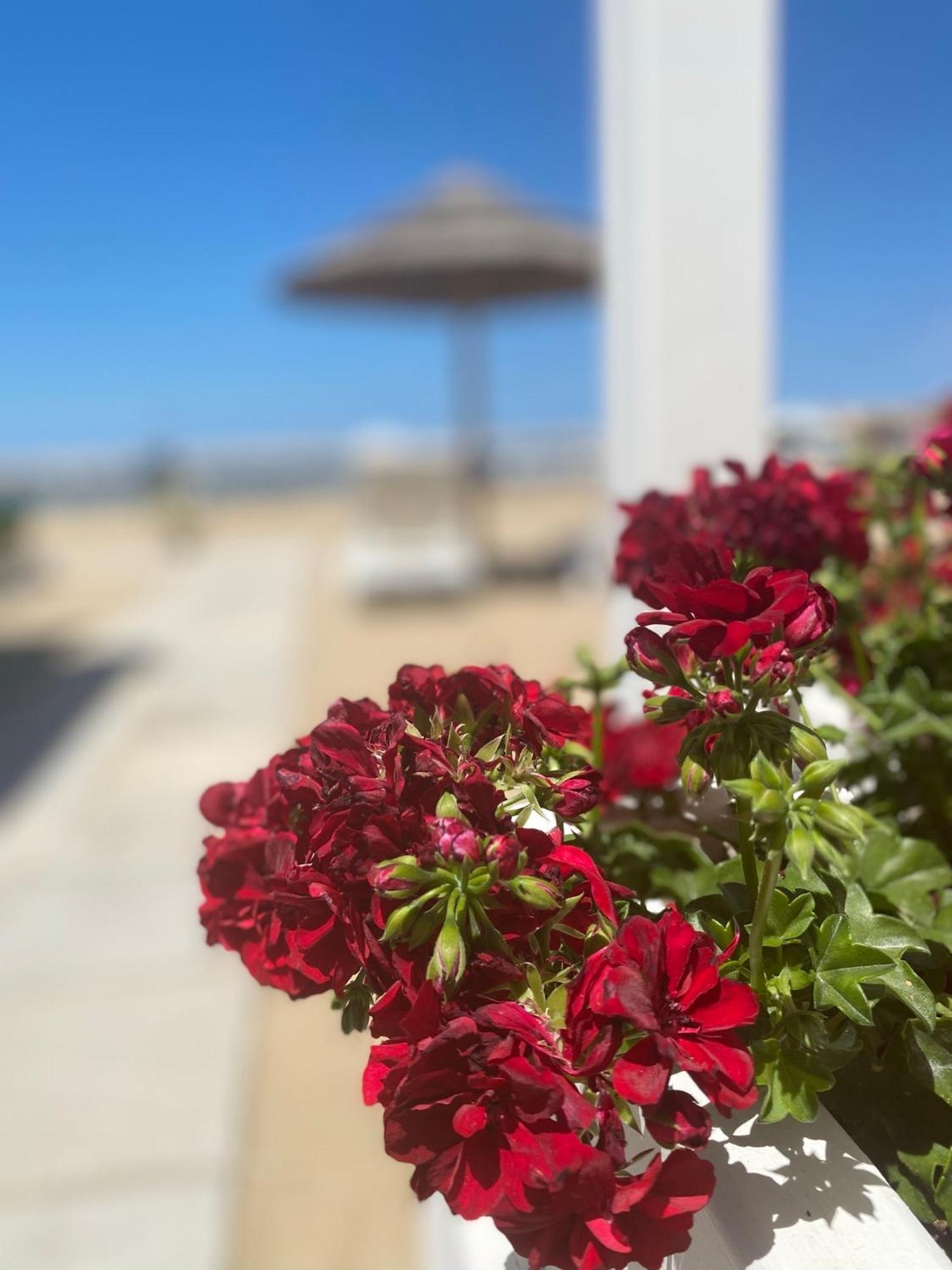 Marina Bay Beach Hotel Peschici Eksteriør billede